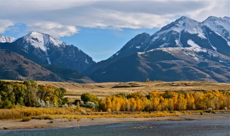 Majestic Montana mountains with golden autumn trees, representing the iconic natural backdrop of Yellowstone and its sprawling land battles.