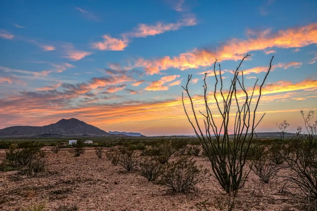 Golden Texas desert sunset with ocotillo cactus and rugged mountains, capturing the raw landscape often seen in Landman cinematography.