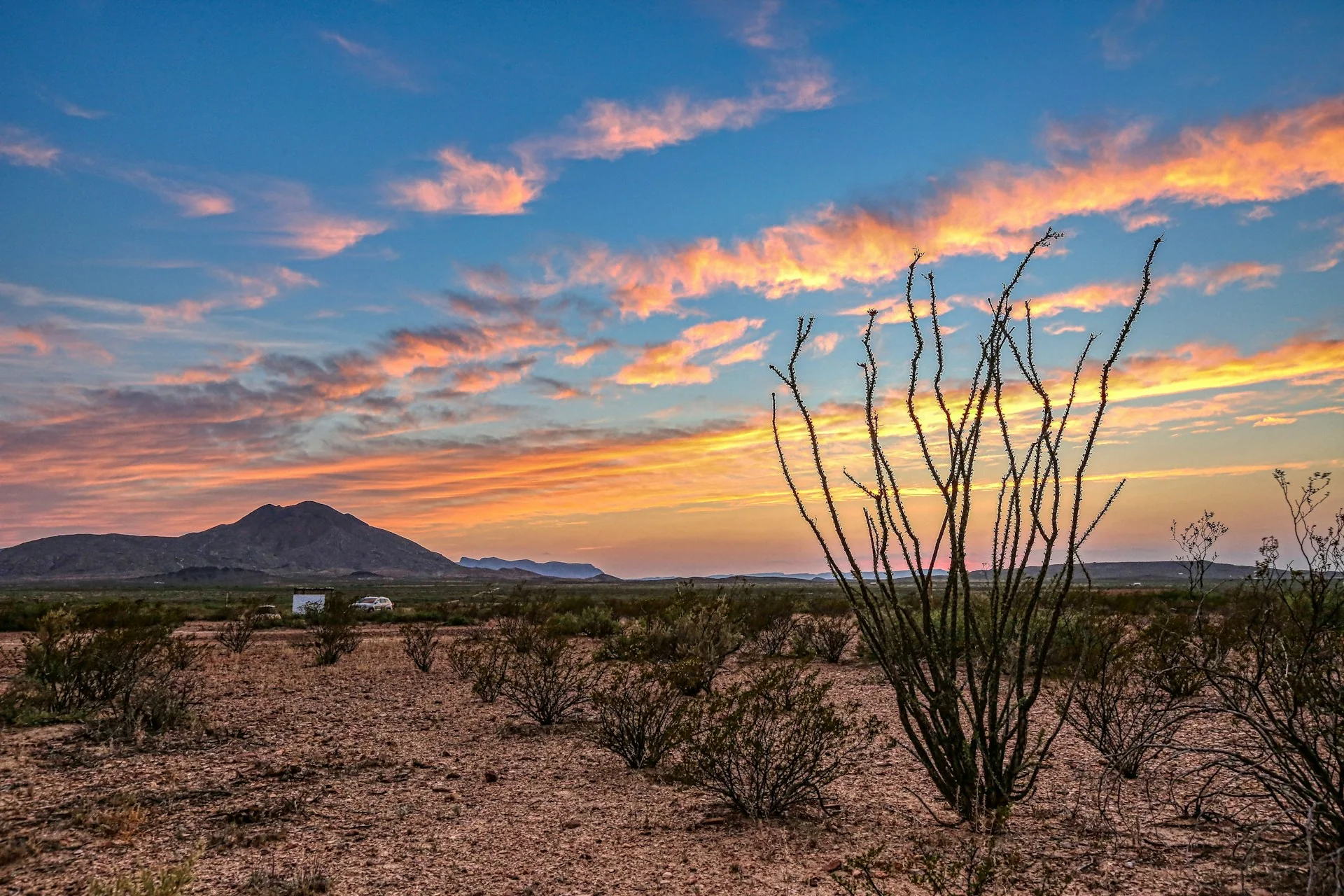 Golden Texas desert sunset with ocotillo cactus and rugged mountains, capturing the raw landscape often seen in Landman cinematography.