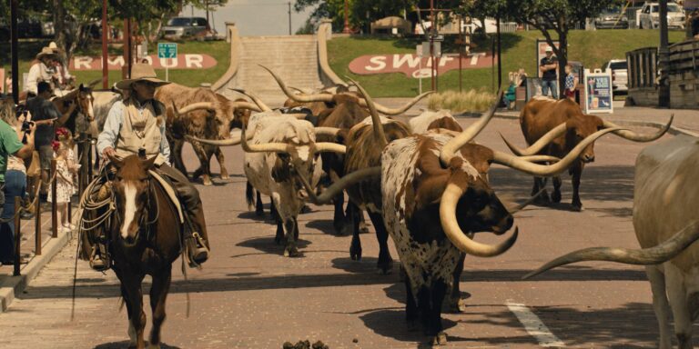 Landman Season 2 premiered Sunday, November 16 on Paramount+